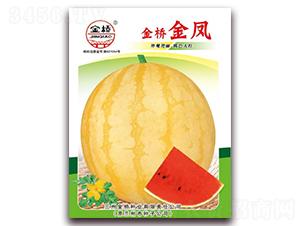 �����P-���ϷN��-���N�I(y��)