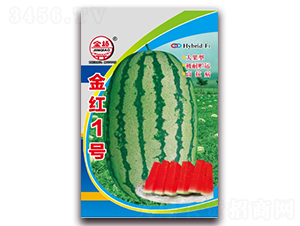 ��t1̖(h��o)-���ϷN��-���N�I(y��)