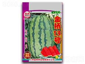 ���13̖(h��o)-���ϷN��-���N�I(y��)