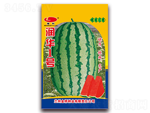 ��(r��n)�A1̖(h��o)-���ϷN��-���N�I(y��)