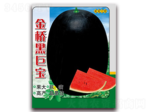 ���ھތ�-���ϷN��-���N�I(y��)