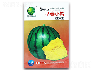 �紺С�-���ϷN��-����N�I(y��)