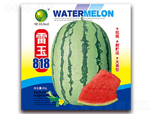 ����818-���ϷN��-����N�I(y��)