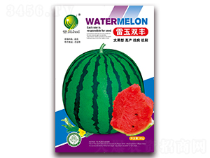 �����p�S-���ϷN��-����N�I(y��)