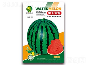 �����p��-���ϷN��-����N�I(y��)