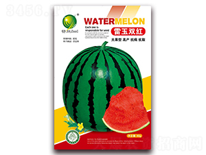 �����p�t-���ϷN��-����N�I(y��)