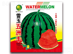 ���������S-���ϷN��-����N�I(y��)