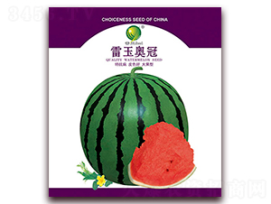 ����W��-���ϷN��-����N�I(y��)