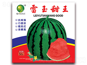 ��������-���ϷN��-����N�I(y��)