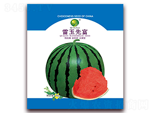 �����ȸ�-���ϷN��-����N�I(y��)