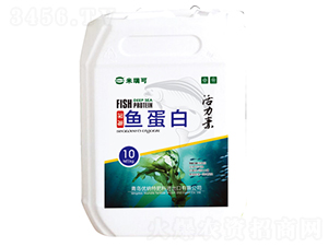 ø���~����-�����-����r(n��ng)�I(y��)