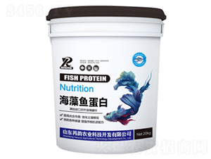 �����~����-����r(n��ng)�I(y��)