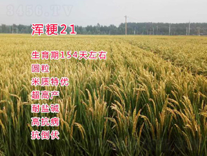 ����21-ˮ���N��-���ƷN�I(y��)