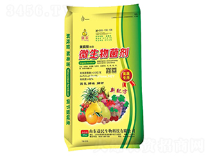 �S���ả��΢�������-�x�r(n��ng)-��������