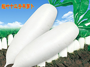 ���~ʮ��̖���}��-�}���N��-�f�r(n��ng)�߿�