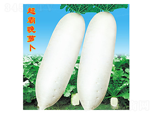 �������}��-�}���N��-�f�r(n��ng)�߿�