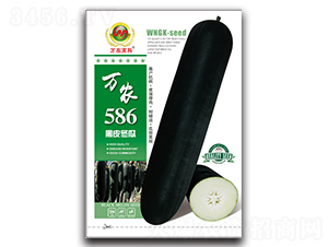 �f(w��n)�r(n��ng)586-���ϷN��-�f(w��n)�r(n��ng)�߿�