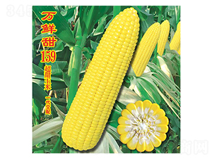 �f�r��159-�����׷N��-�f�r(n��ng)�߿�