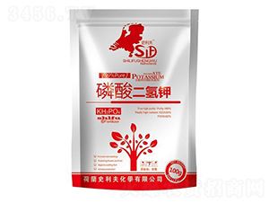 100g��������-ʷ����