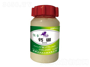 �}��Ҹ���-�ʿ�-ʷ����