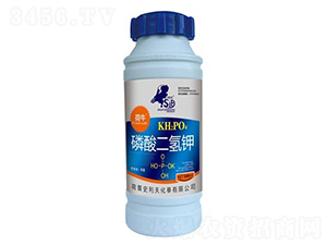 ��������-��ţ-ʷ����