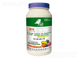 1000g����Ԫ��ˮ�ܷ���14-10-40+TE-��ţ-ʷ����