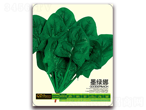 ī�G��-���˷N��-����(y��u)�߿�