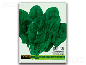 ������-���˷N��-����(y��u)�߿�