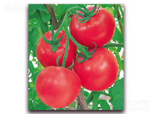 �m��-���ѷN��-����(y��u)�߿�