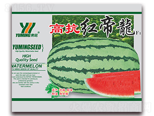 �߿��t����F(tu��n)1-���ϷN��-����(y��u)�߿�