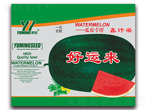 ���\(y��n)��(l��i)-���ϷN��-����(y��u)�߿�