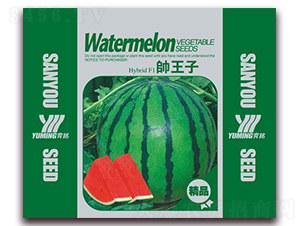 ������-���ϷN��-����(y��u)�߿�