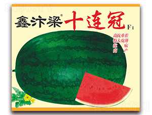 ������ʮ�B��F1-���ϷN��-����(y��u)�߿�