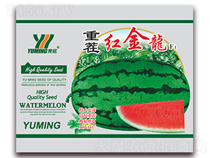 �ز�t����F(tu��n)1-���ϷN��-����(y��u)�߿�