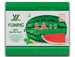 ���68-���ϷN��-����(y��u)�߿�