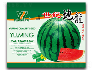 ���o(j��)����-���ϷN��-����(y��u)�߿�