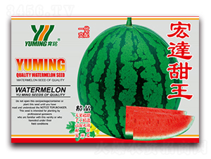 ���_(d��)����-���ϷN��-����(y��u)�߿�