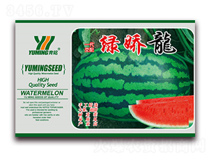 �G����-���ϷN��-����(y��u)�߿�