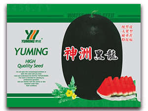 ���ݺ���-���ϷN��-����(y��u)�߿�