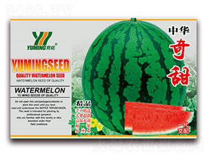 ���A����-���ϷN��-����(y��u)�߿�