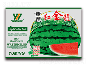 �ز�t����F(tu��n)1-���ϷN��-����(y��u)�߿�