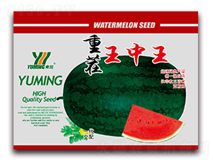 �ز�������-���ϷN��-����(y��u)�߿�