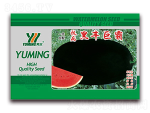 �������S�ް�-���ϷN��-����(y��u)�߿�