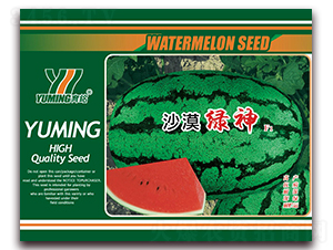 ɳĮ�G��-���ϷN��-����(y��u)�߿�