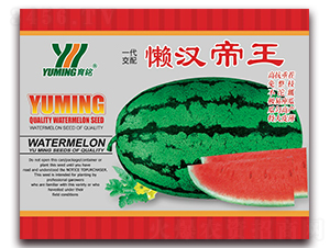 �Нh����-���ϷN��-����(y��u)�߿�