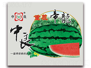 �ز����-���ϷN��-����(y��u)�߿�