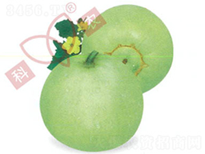 ������̖-��ϷN��-���r(n��ng)�N�I(y��)