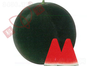 ���r(n��ng)�o����̖-���ϷN��-���r(n��ng)�N�I(y��)