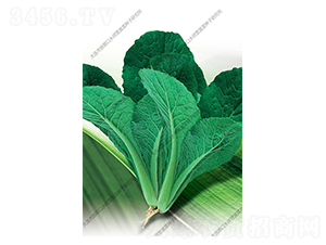 �๣С�ײ�-�ײ˷N��-ˮ���I