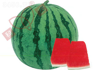 84-24����ѣ�-���ϷN��-���r(n��ng)�N�I(y��)